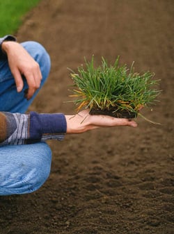 tilled-soil-and-grass-patch